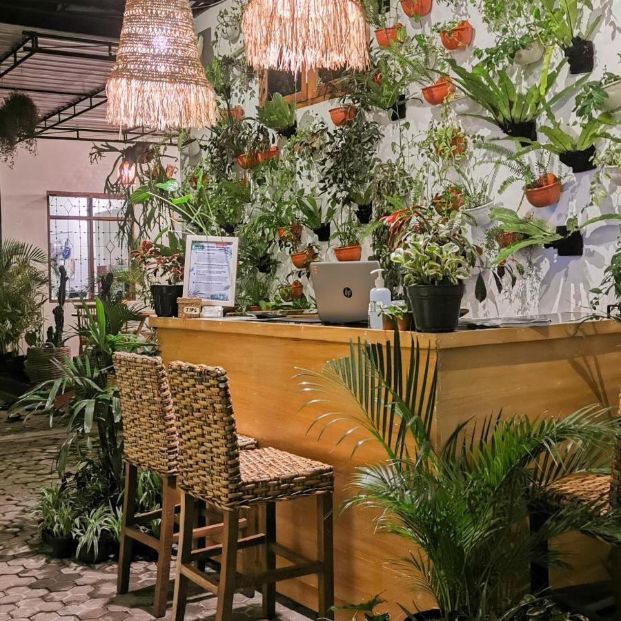 Snooze Ijen Hostel Banyuwangi  Buitenkant foto